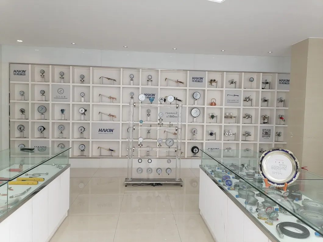 0-250 Mbar Pressure Gauges