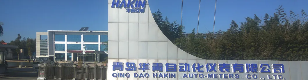 0-250 Mbar Pressure Gauges