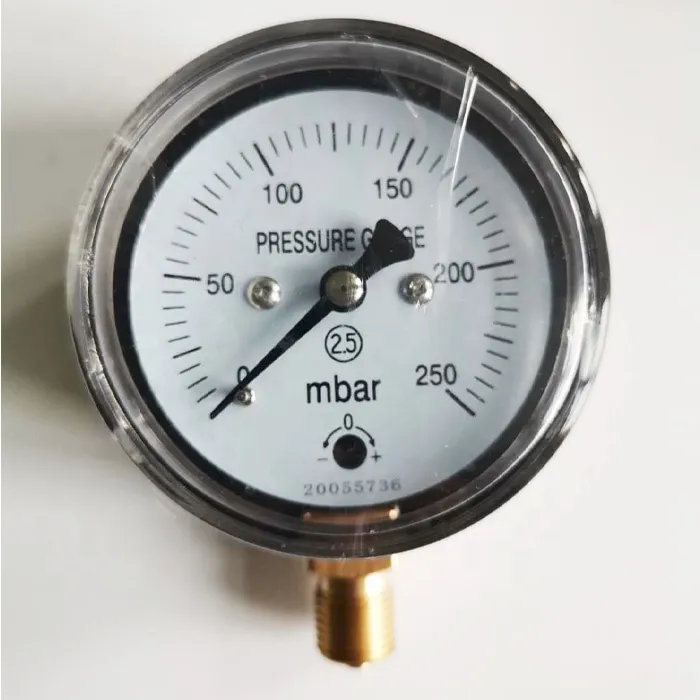 0-250 Mbar Pressure Gauges