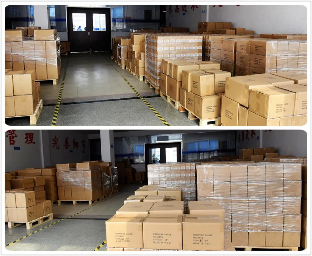 100mm Black Steel Pressure Gauge with White Inner Bezel