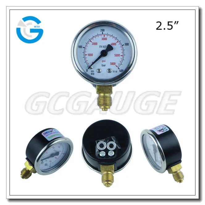 2.5" Economic Black Steel Bottom Mounted Vacuum Pressure Guage