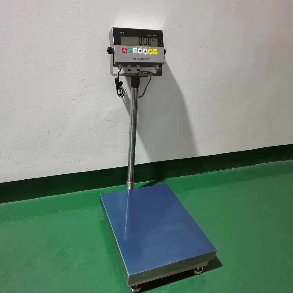 60X80cm Bbx 300kg 500kg Stainless Steel Washdown Platform Scale
