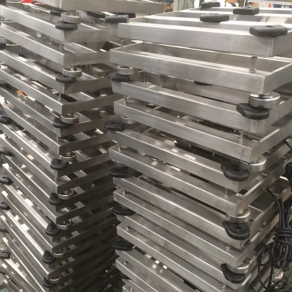 60X80cm Bbx 300kg 500kg Stainless Steel Washdown Platform Scale