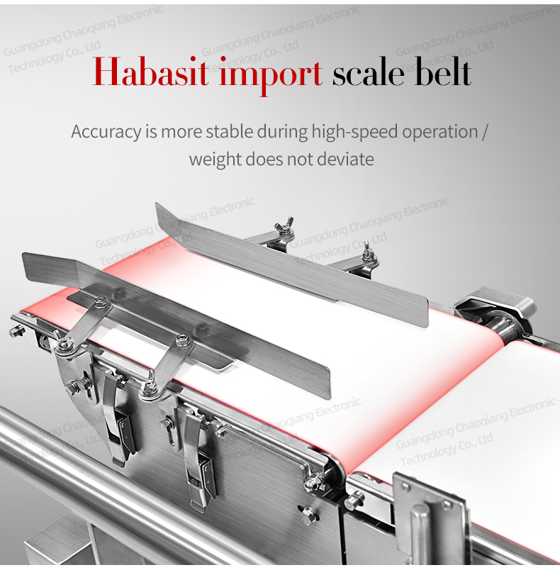 Automatic Checkweigher Machine for Food, Toys, Pharmaceutical, Carton