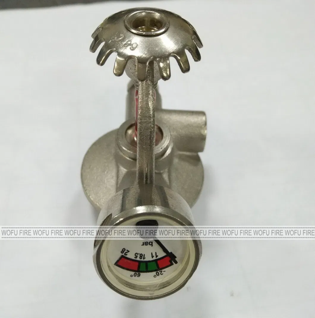 Burden Type Pressure Gauge Use for Fire Extinguisher
