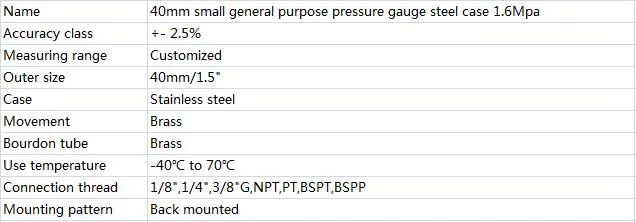 China Cheap Stainless Steel 304 Case Pressure Gauge for Hydraulic