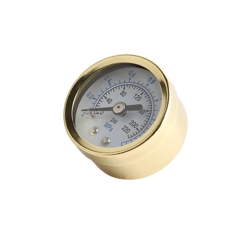 China Cheap Stainless Steel 304 Case Pressure Gauge for Hydraulic