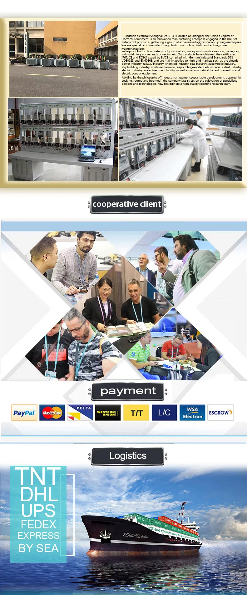 Dds-5 Series DIN Rial Mounted Single Phase Electronic Energy Meter