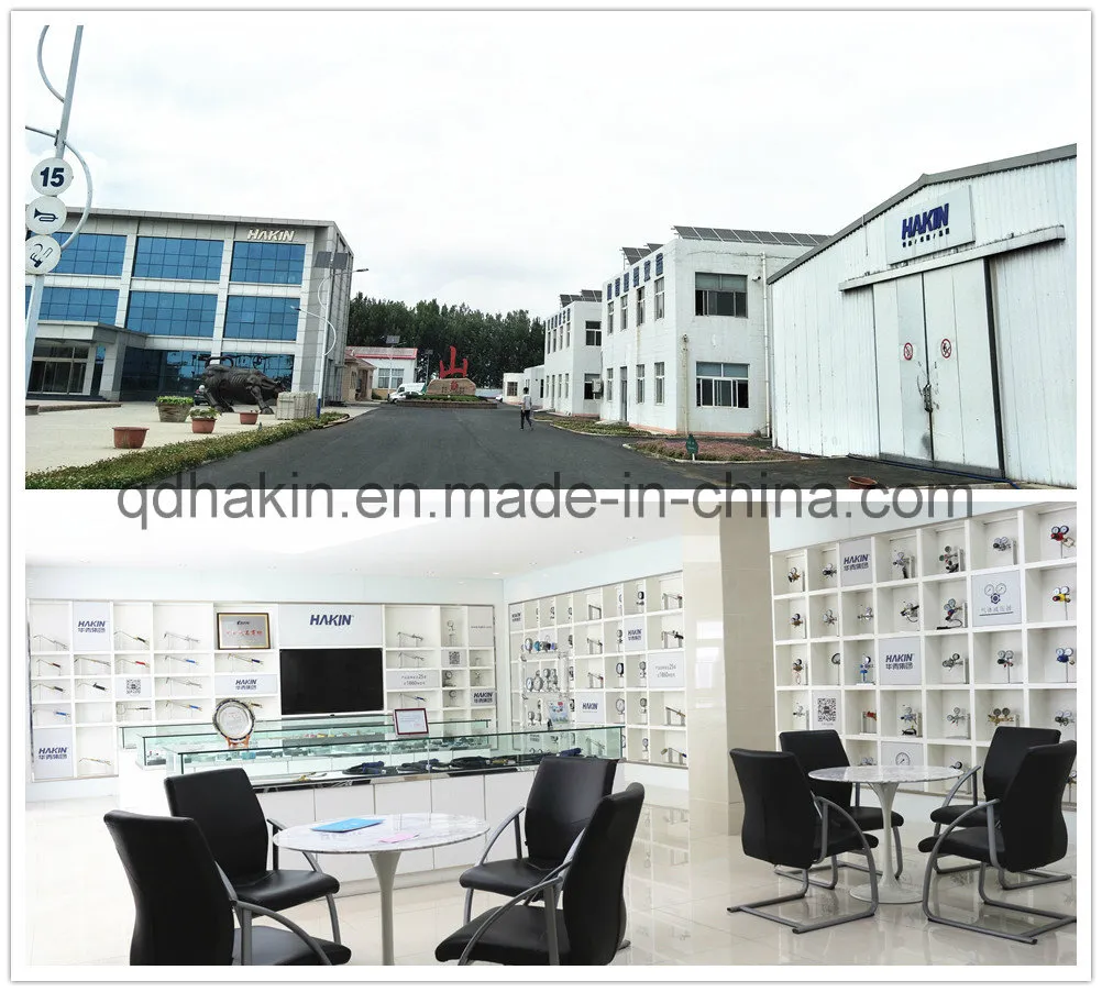 Differential Teletransmission Pressure Gauge Manometer From Chinese Factory