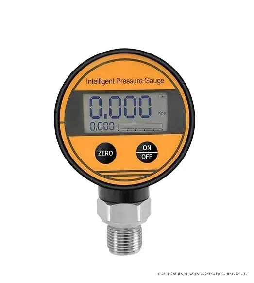 Digital Stainless Steel Pressure Guage Meter