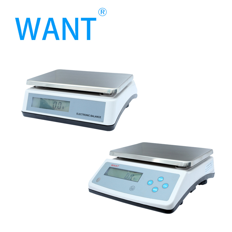 Electric Platform Scale 1g/ 6000g