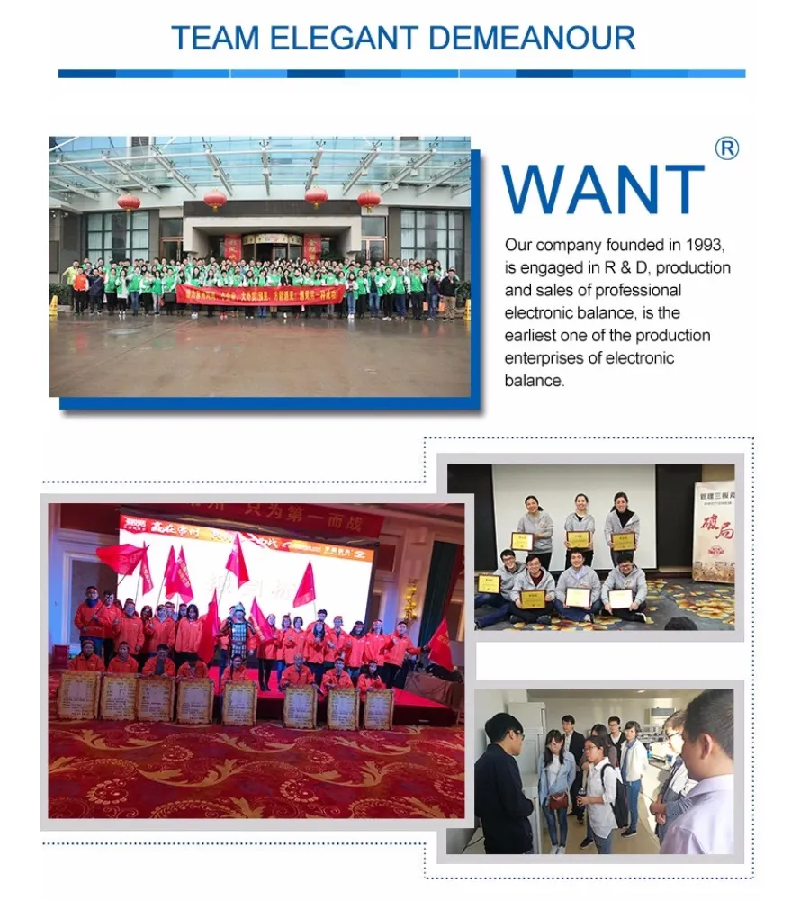 Electric Platform Scale 1g/6000g