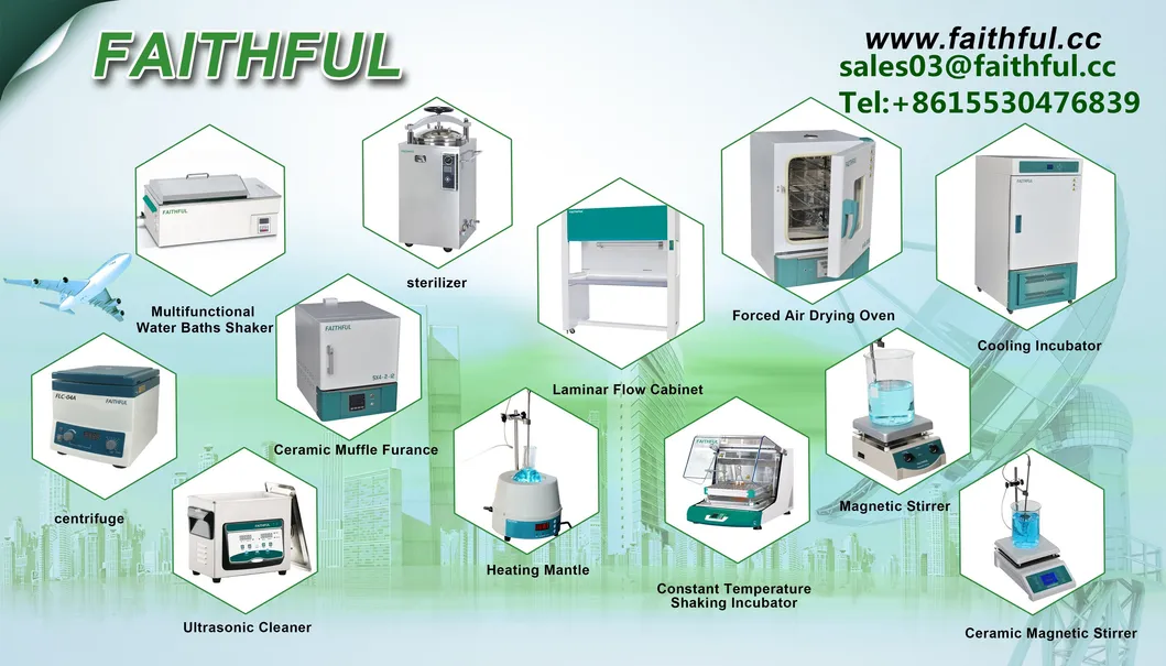 Electronic Analytical Balance