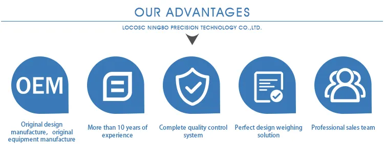 Electronic Digital Forklift China Pallet Truck Scale