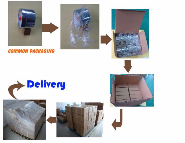 Factory Price 63mm 2.5" 25kpa Capsule Bellows Pressure Gauge