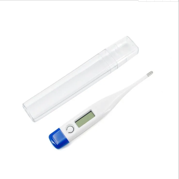 Factory Spot Fahrenheit Celsius Double Temperature Display Electronic Thermometer Household Thermometer Hard Head Soft Head