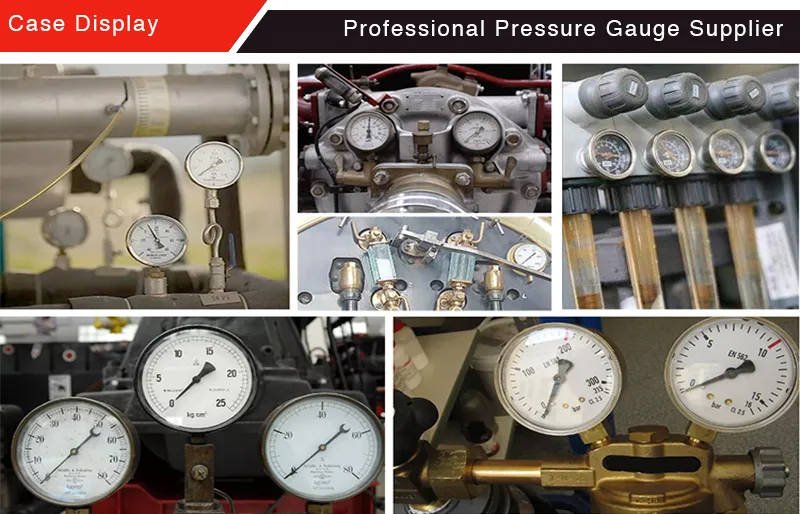 Felter Pressure Gauge 50mm Black Steel Case 1/4 NPT Connection 60 MPa Height Gauge