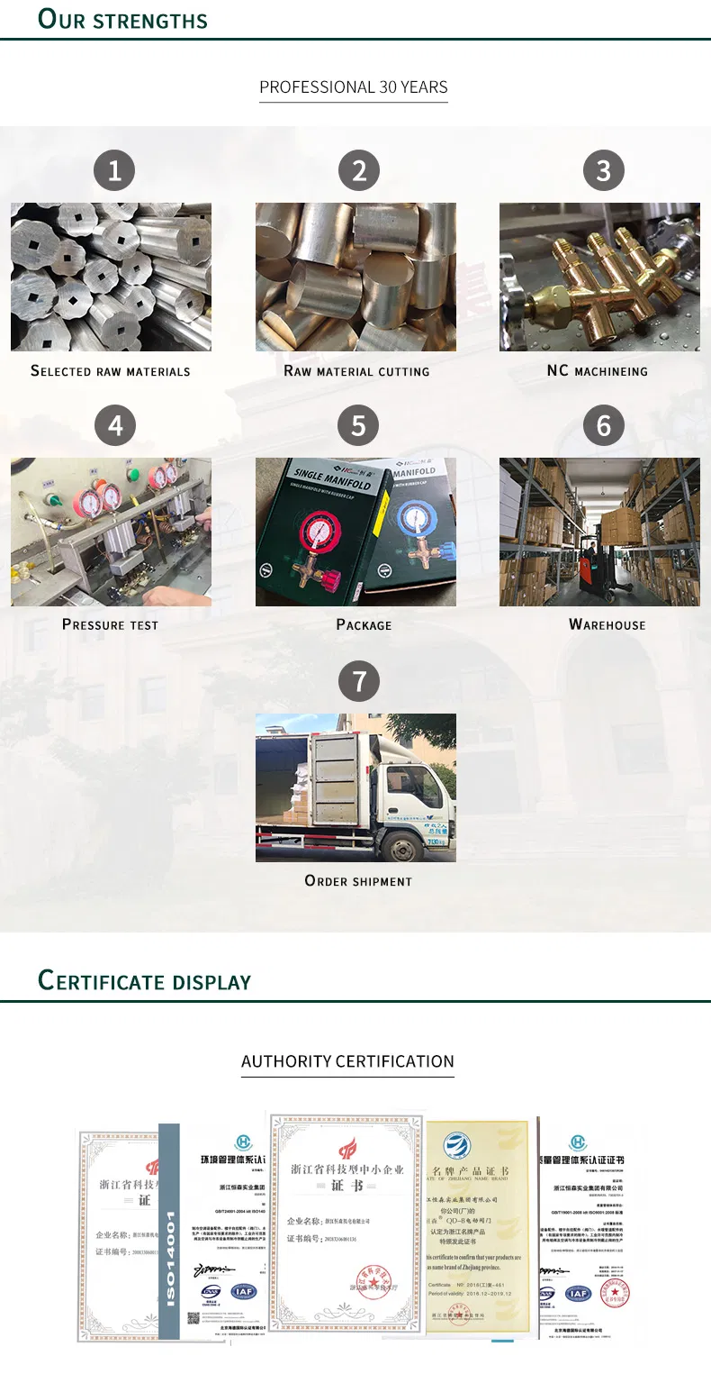 Hengsen Digital Single Guage Series