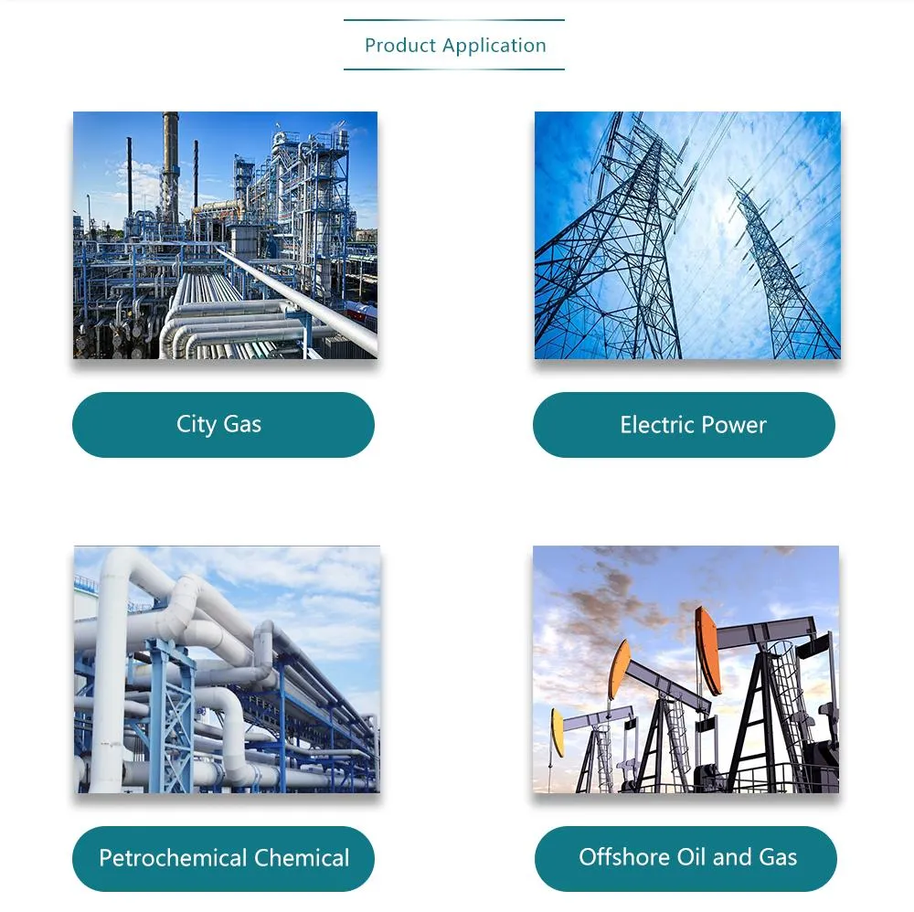 High Pressure 4-20mA Oct RS485 Hart Gas Mass Flow Meter
