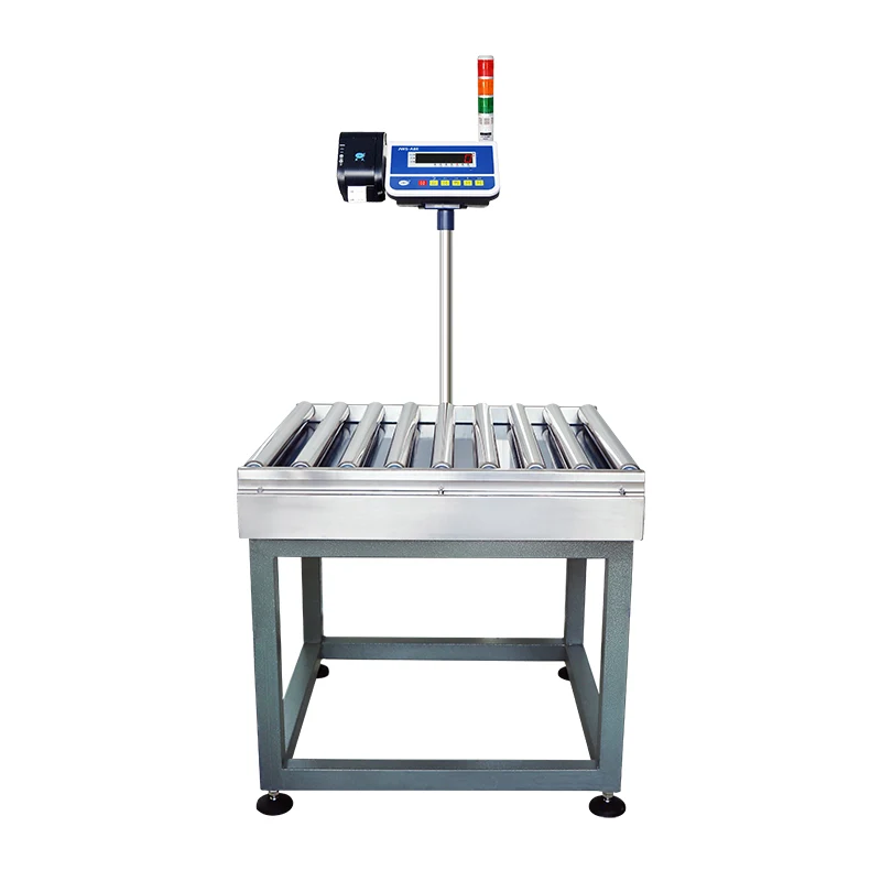 Stainless Steel Unpowered Roller Scale