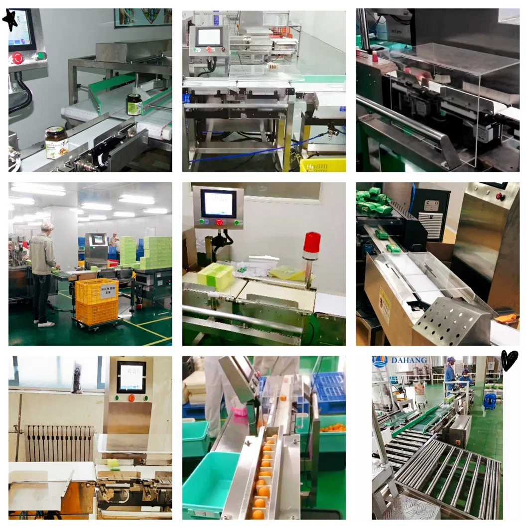 in-Motion Weight Check Machine with Hbm Load Cell