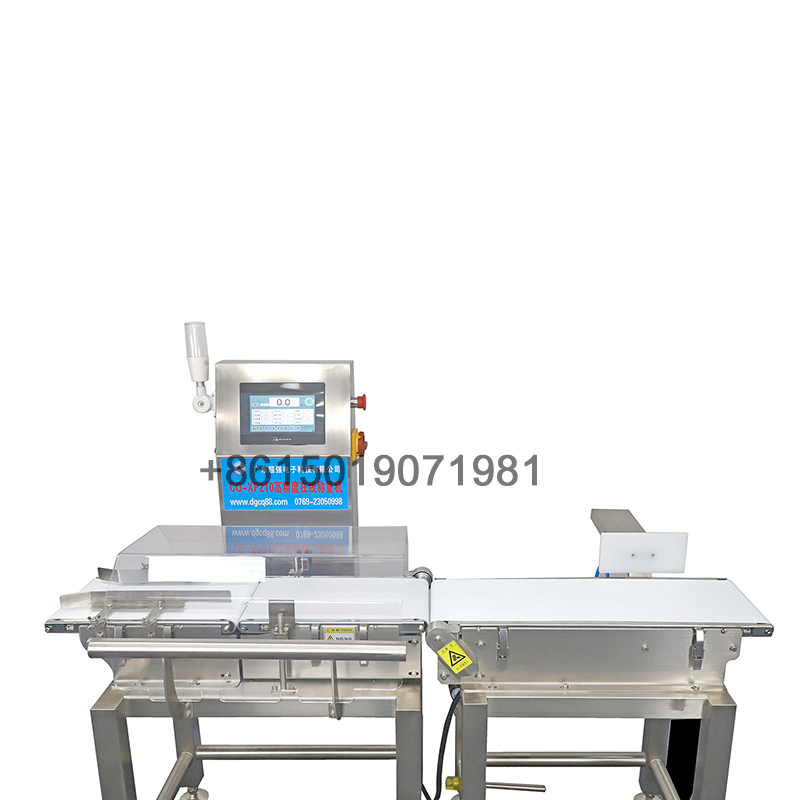 Industrial Belt Check Weight Weigher Scales Weighing System for Food