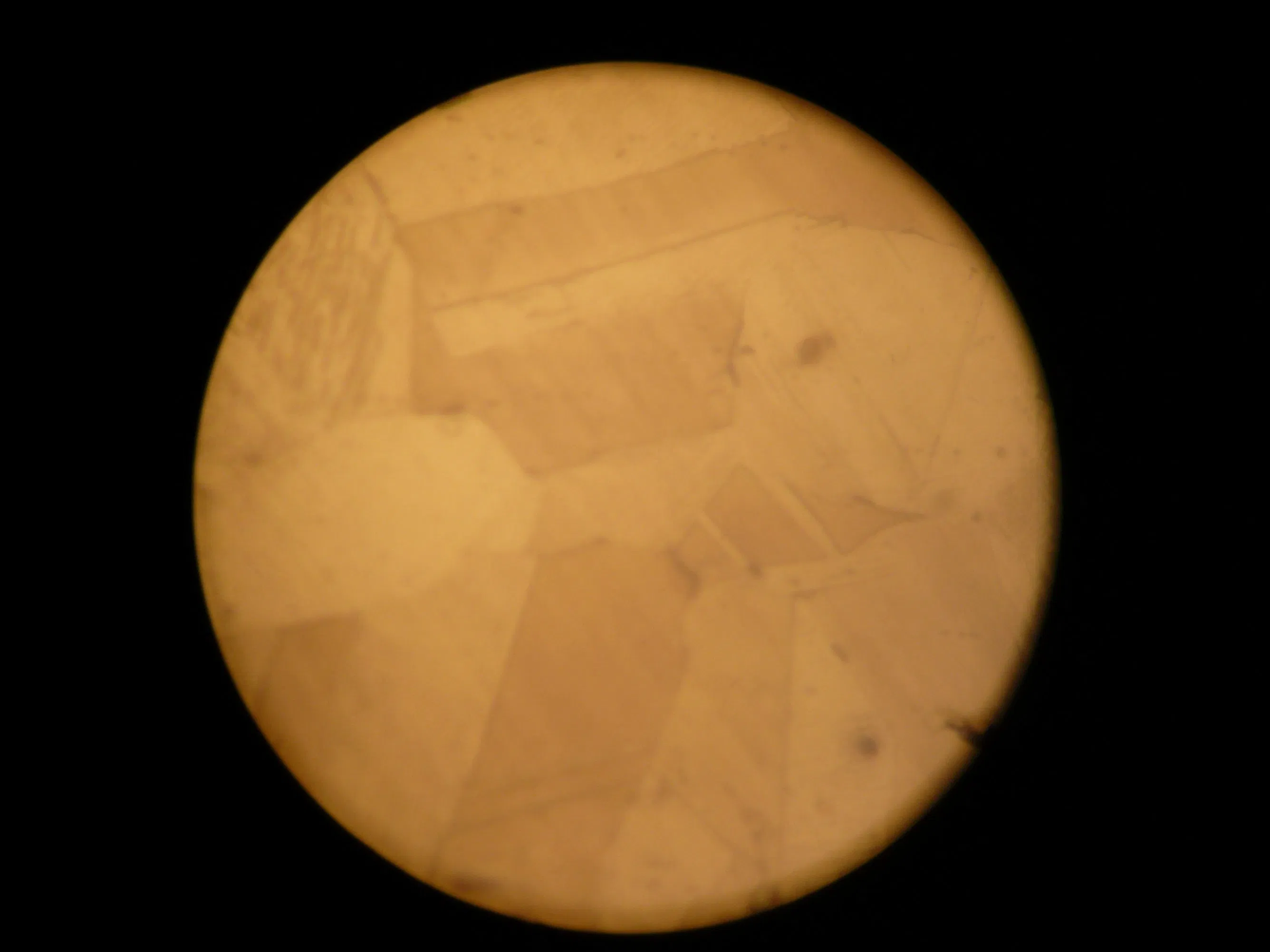 Portable Trinocular Metallurgical Microscope Sm400