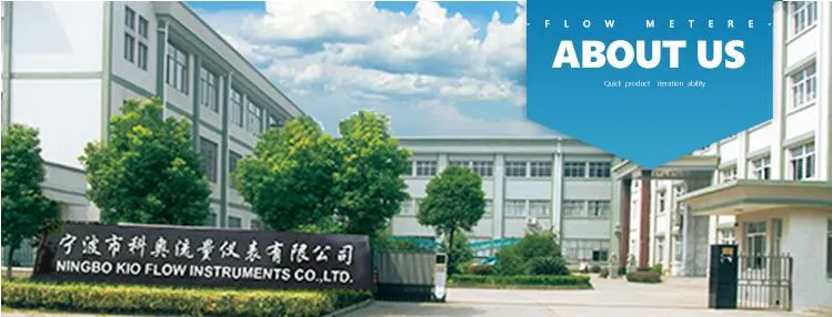 Professional Manufacture of Mass Air Flow Meter Turbine Transducer