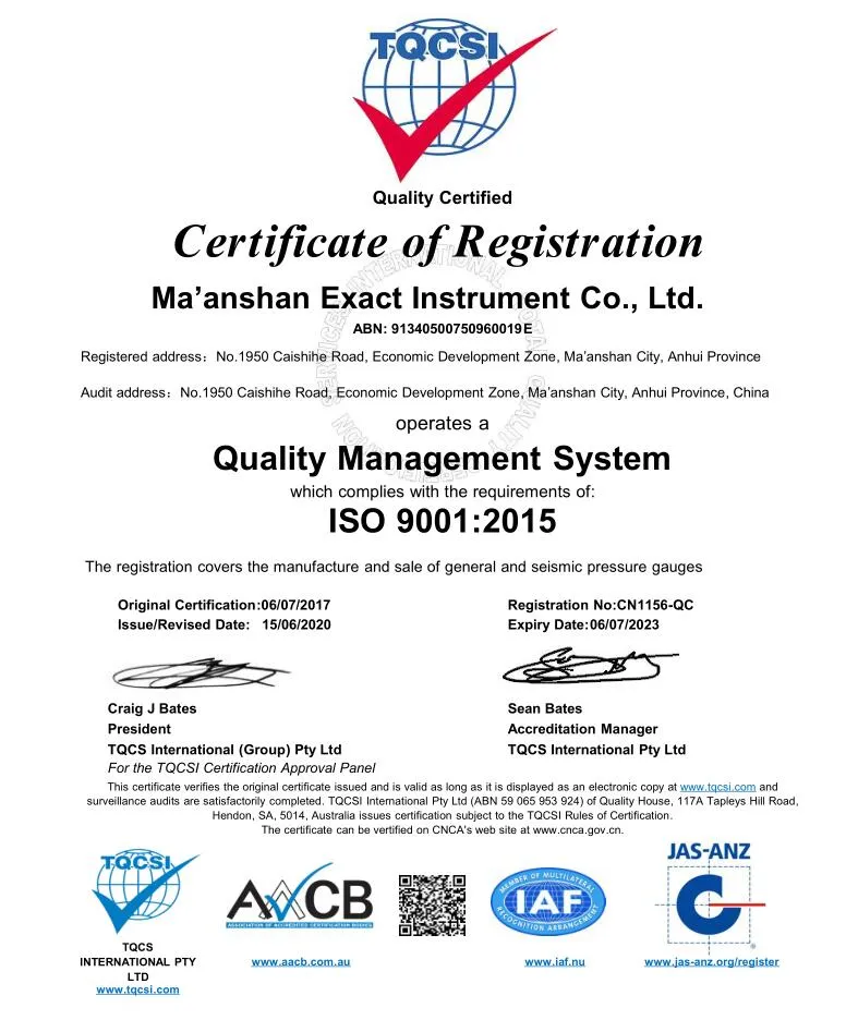 Red-Pointer Manometer-Double Pointer Manometer-Manometer with Alerm