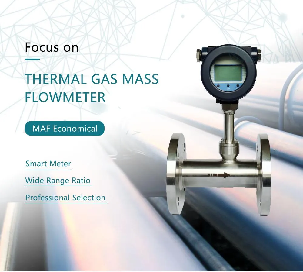 Thermal Gas Mass Flow Meter with 4~20mA Oct RS485 Hart Outputs