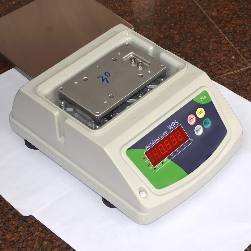 Wps 6kg 30kg 0.2g Stainless Steel Pan Digital Washdown Weight Scale for Vegetables